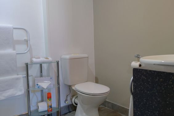 Standard Studio: Bathroom